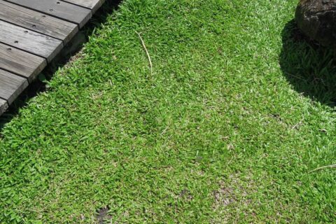 Landscaping Contractors Folkestone