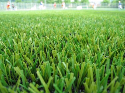 Artificial grass cleaner Folkestone