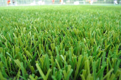 Artificial Grass near me Folkestone CT18-CT20
