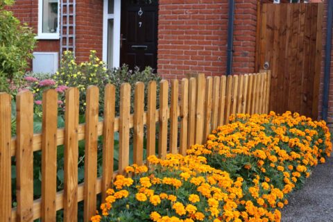 Folkestone Garden Landscaping